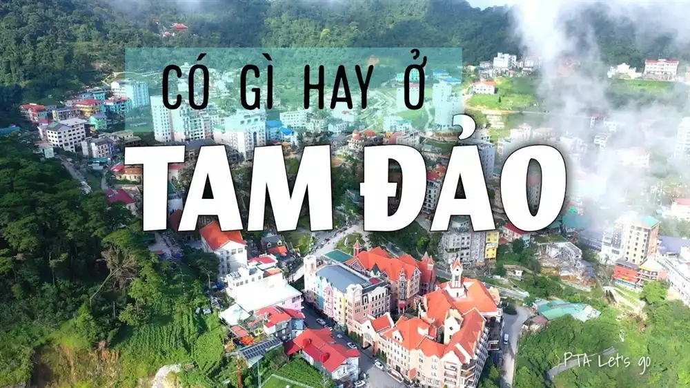 Một ngày vi vu Tam Đảo