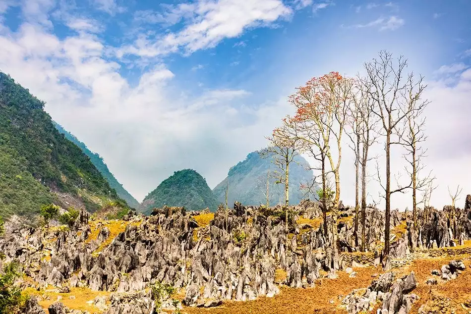 Festival “Tủa Chùa – Vẻ đẹp nguyên sơ và huyền bí” năm 2025 - sự kiện không nên bỏ qua